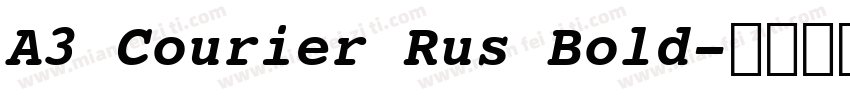 A3 Courier Rus Bold字体转换